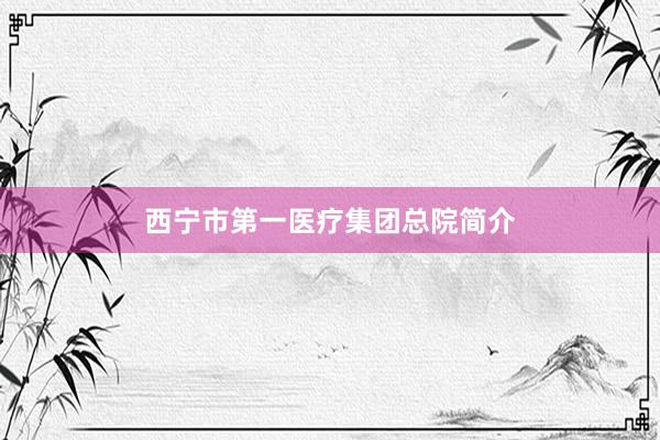 西宁市第一医疗集团总院简介