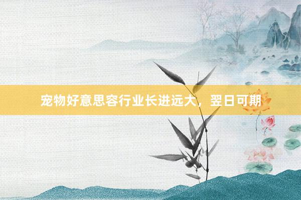 宠物好意思容行业长进远大，翌日可期