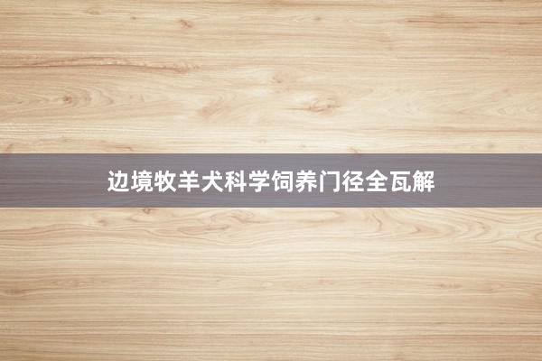 边境牧羊犬科学饲养门径全瓦解