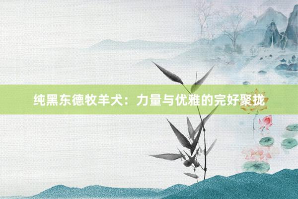 纯黑东德牧羊犬：力量与优雅的完好聚拢