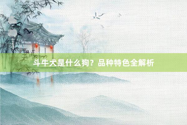 斗牛犬是什么狗？品种特色全解析