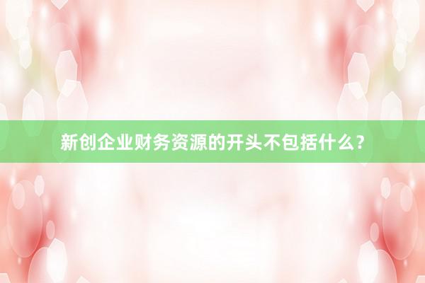 新创企业财务资源的开头不包括什么？