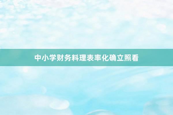 中小学财务料理表率化确立照看